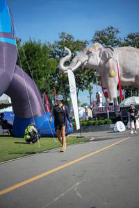 BIB: 
                            <button type="button" onclick="openModal(26542497)" class="btn btn-primary btn-sm float-right btn-popup" data-toggle="modal" data-target=".modal-high-quality">
                        <i class="fas fa-shopping-cart"></i> Add to Cart
                    </button>
                                            <button type="button" onclick="isThisMe(26542497, true)" class="btn btn-success btn-sm float-right btn-popup btn-isme hidden" data-toggle="tooltip" data-placement="bottom" title="นี่คือรูปของคุณใช่ไหม คลิกที่นี่เพื่อเอาเข้าอัลบั้ม">
                        <i class="fas fa-plus"></i> Add to album
                    </button>
                    <button type="button" onclick="isThisMe(26542497, false)" class="btn btn-warning btn-sm float-right btn-popup btn-isnotme hidden">
                        <i class="fas fa-ban"></i> Remove from album
                    </button>